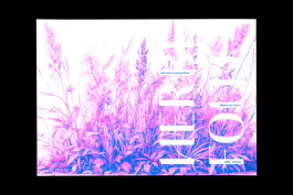 Design graphique, specimen typographique, document de présentation d'une typographie 