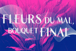 Design graphique, mise en situation de la typographie sur un fond image coloré en rose et bleu