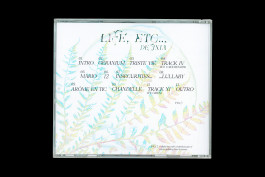 Design graphique de la tracklist du projet Life, etc... de la chanteuse réunionnaise Delixia, fougère