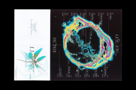 Design graphique de la cover du projet Life, etc... de la chanteuse réunionnaise Delixia, poster déplié, image faites par une IA