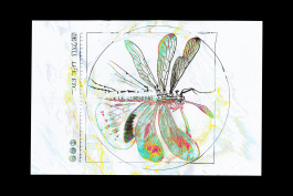 Design graphique de la cover du projet Life, etc... de la chanteuse réunionnaise Delixia, poster déplié, image faites par une IA