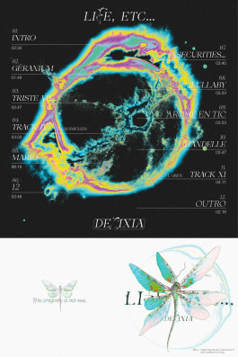 Design graphique de la cover du projet Life, etc... de la chanteuse réunionnaise Delixia, poster déplié, image faites par une IA