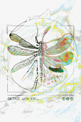 Design graphique de la cover du projet Life, etc... de la chanteuse réunionnaise Delixia, poster déplié, image faites par une IA