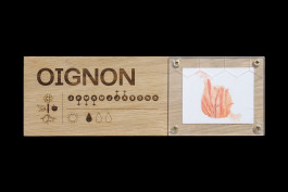 Signalétique participative créée pour le Potager des Cultures des Cols Verts au Blosne à Rennes, réalisée avec la Maison des Squares par le graphiste et illustrateur Mathis Van Hecke. 