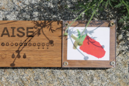 Signalétique participative créée pour le Potager des Cultures des Cols Verts au Blosne à Rennes, réalisée avec la Maison des Squares par le graphiste et illustrateur Mathis Van Hecke.