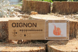 Signalétique participative créée pour le Potager des Cultures des Cols Verts au Blosne à Rennes, réalisée avec la Maison des Squares par le graphiste et illustrateur Mathis Van Hecke.