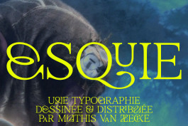 Esquie, typographie à empattements décorative créée par Mathis Van Hecke, graphiste et illustrateur à Rennes, inspirée de l’univers poétique de Clair-Obscur: Expédition 33. 