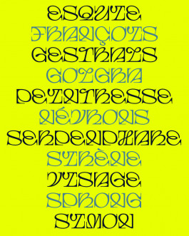 Esquie, typographie à empattements décorative créée par Mathis Van Hecke, graphiste et illustrateur à Rennes, inspirée de l’univers poétique de Clair-Obscur: Expédition 33.