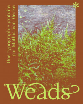 Weads, typographie décorative inspirée des mauvaises herbes et des formes végétales, créée par Mathis Van Hecke, graphiste et illustrateur à Rennes. 