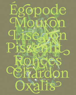 Weads, typographie décorative inspirée des mauvaises herbes et des formes végétales, créée par Mathis Van Hecke, graphiste et illustrateur à Rennes. 