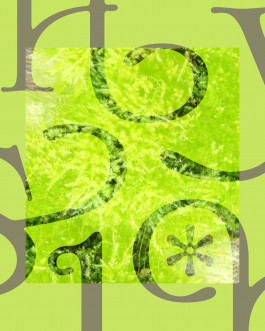 Weads, typographie décorative inspirée des mauvaises herbes et des formes végétales, créée par Mathis Van Hecke, graphiste et illustrateur à Rennes. 