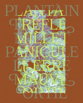 Weads, typographie décorative inspirée des mauvaises herbes et des formes végétales, créée par Mathis Van Hecke, graphiste et illustrateur à Rennes. 