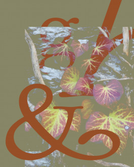 Weads, typographie décorative inspirée des mauvaises herbes et des formes végétales, créée par Mathis Van Hecke, graphiste et illustrateur à Rennes. 