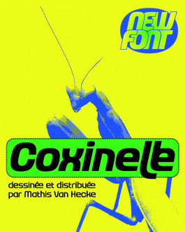 Coxinelle, typographie variable et inclusive créée par Mathis Van Hecke, graphiste et illustrateur à Rennes. 