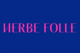 Design graphique, image de présentation de la typographie HERBE FOLLE 