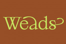 Weads, typographie décorative inspirée des mauvaises herbes et des formes végétales, créée par Mathis Van Hecke, graphiste et illustrateur à Rennes. 