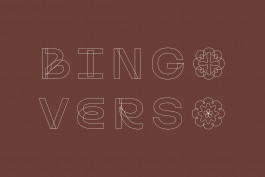 Identité visuelle de Bingo Verso, collectif de graphistes fondé par Mathis Van Hecke et Gaëlle Lâm, comprenant un logotype typographique et des symboles illustrés.
